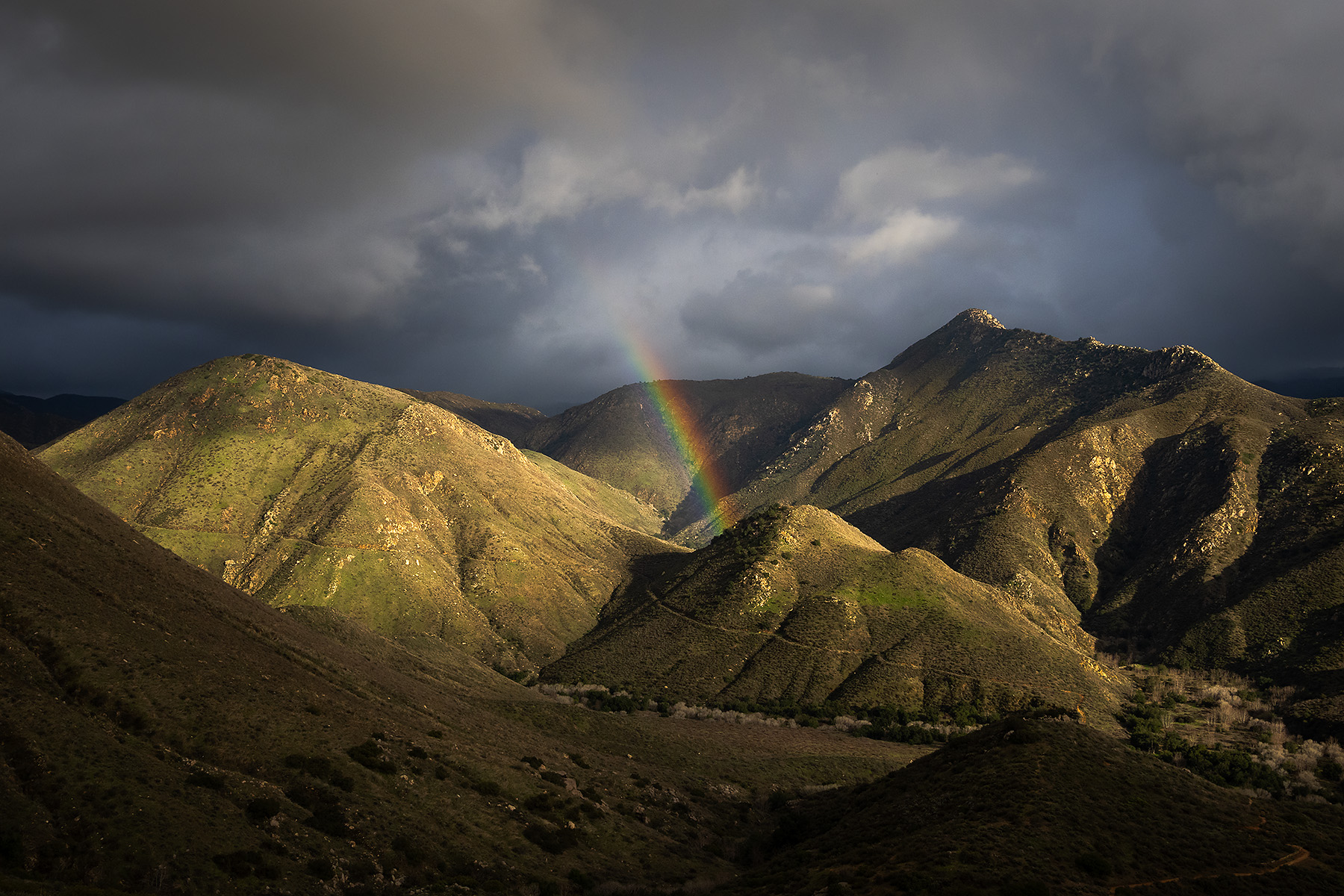 Cedar-Rainbow-Mountains