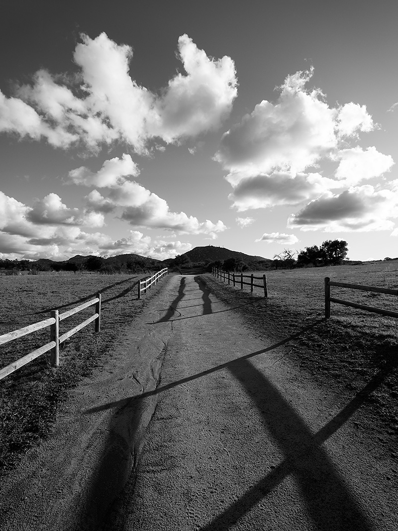 Grasslands-BW-1