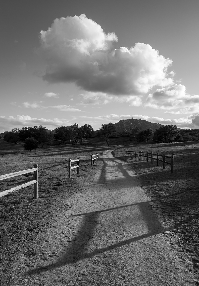 Grasslands-BW-2