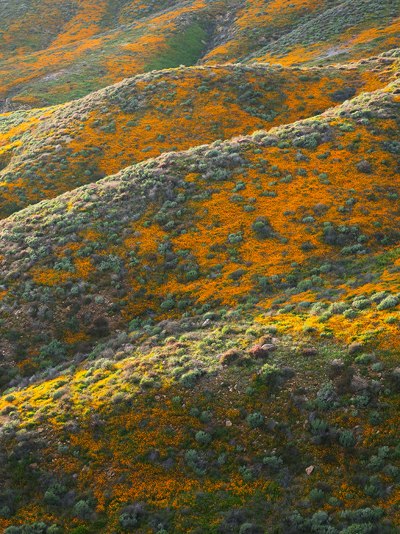 Lake-Elsinore-3