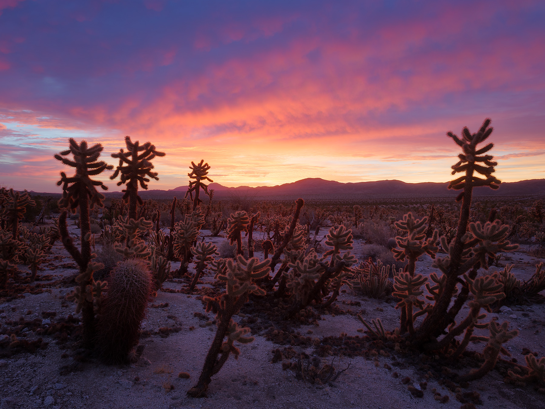 Mtn-Palm-Springs-Sunrise