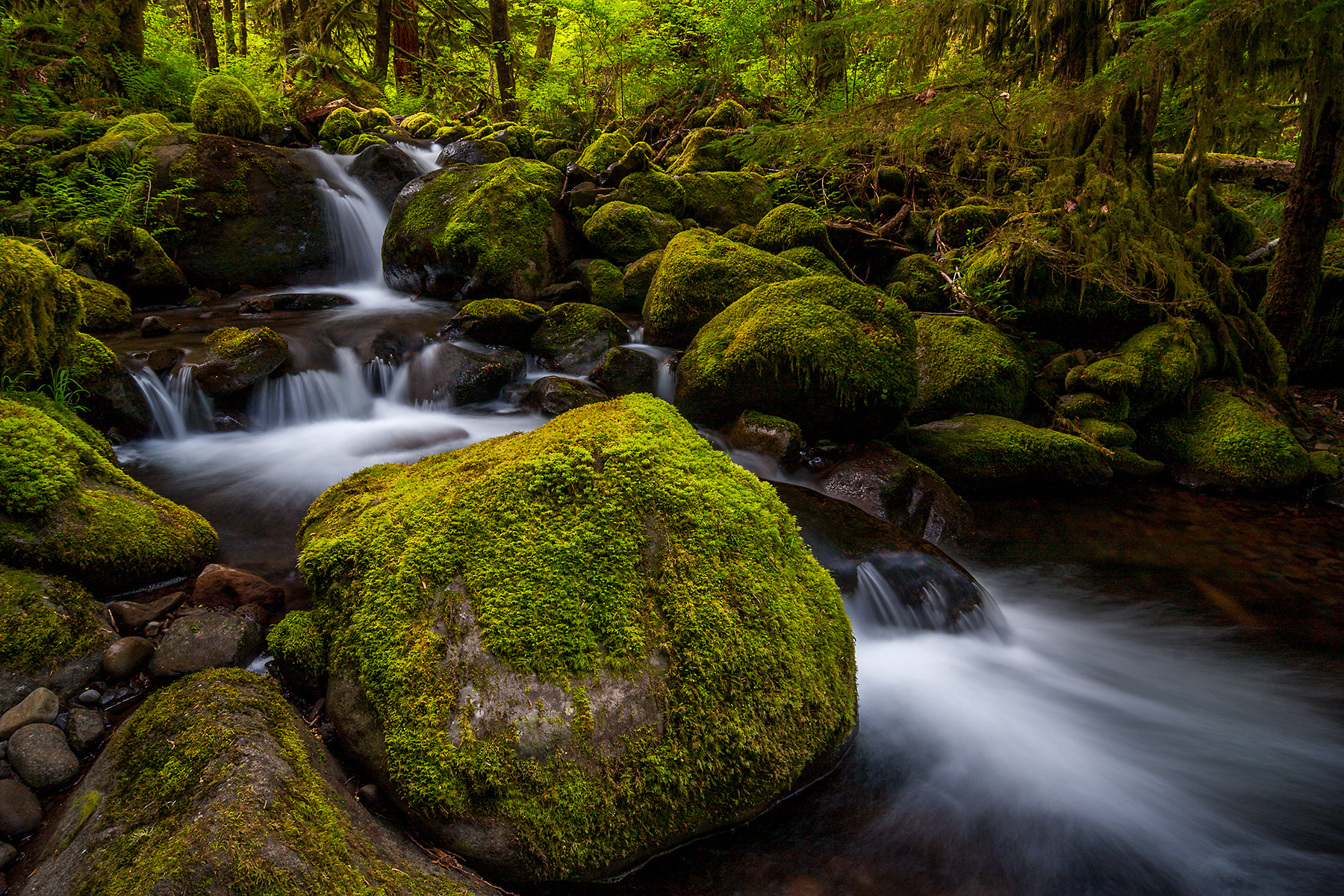 Oregon Waterfall