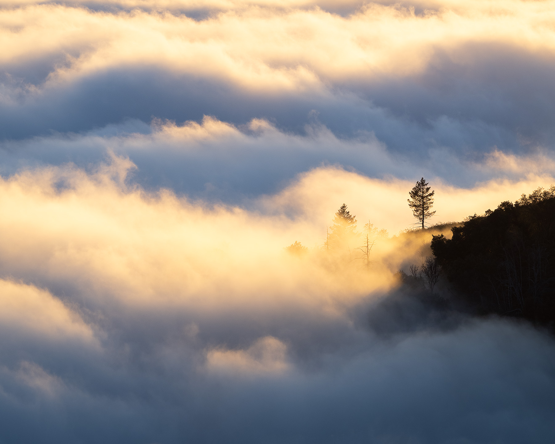 Palomar-Above-Fog-1