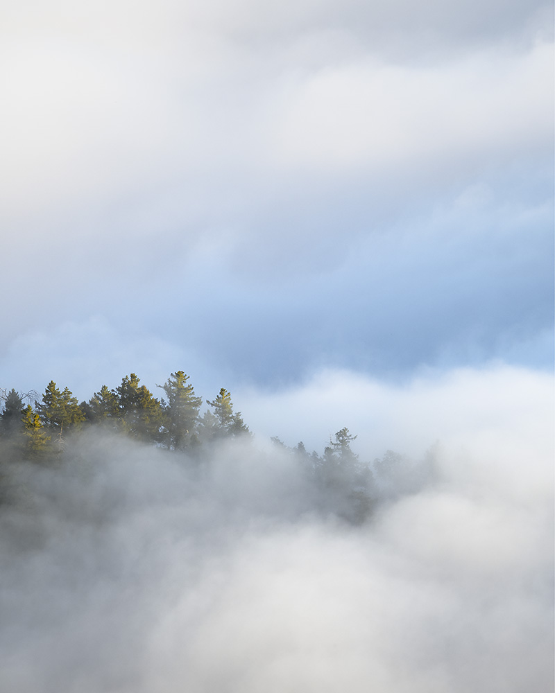 Palomar-Above-Fog-4