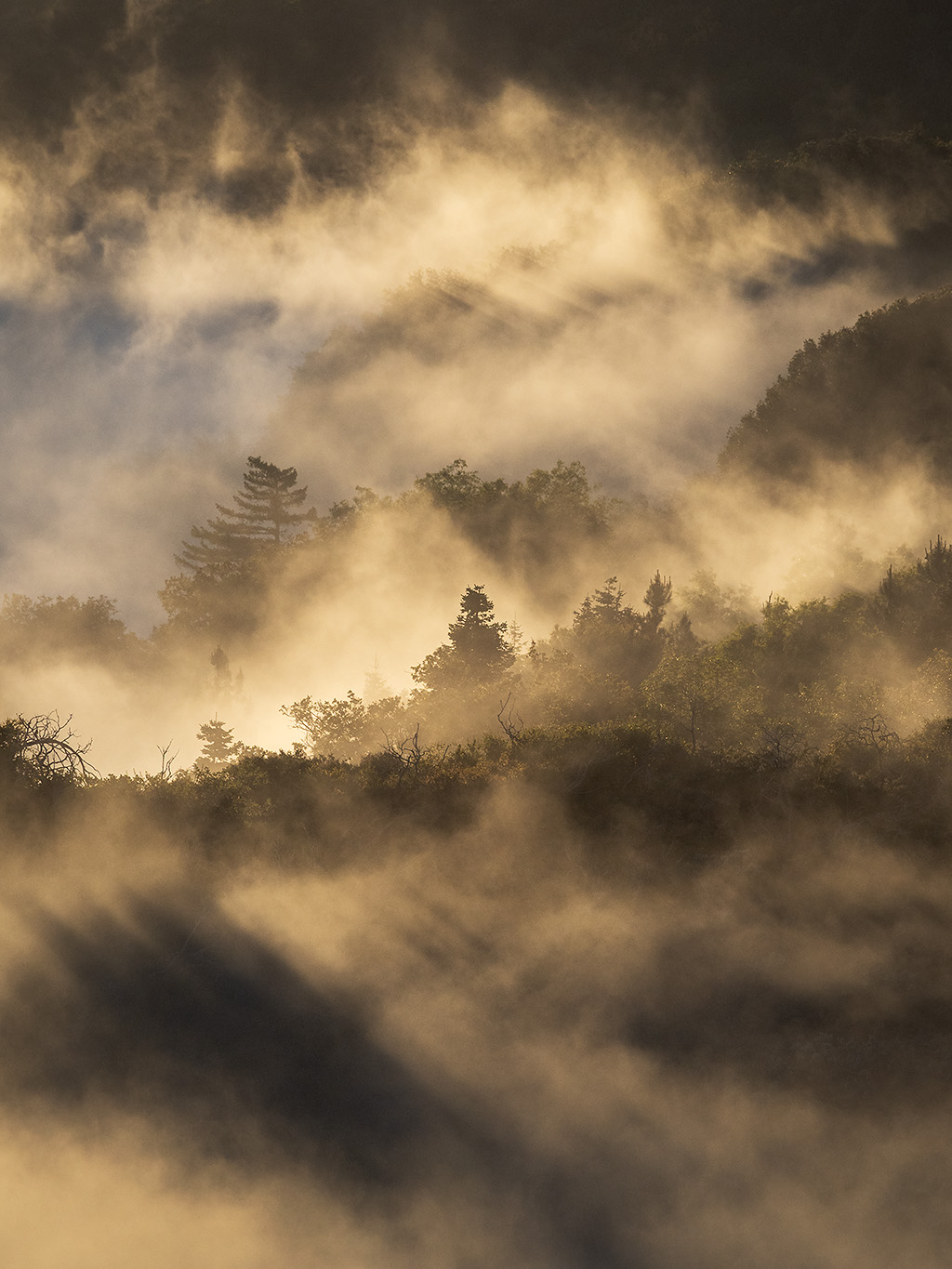 Palomar-Above-Fog-5