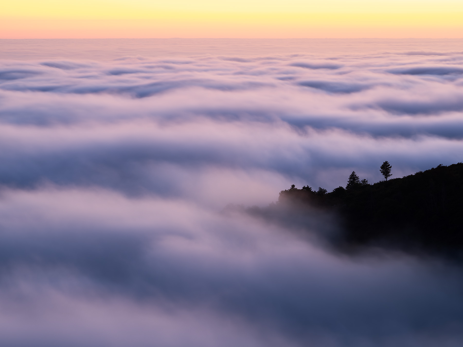 Palomar-Above-Fog-9