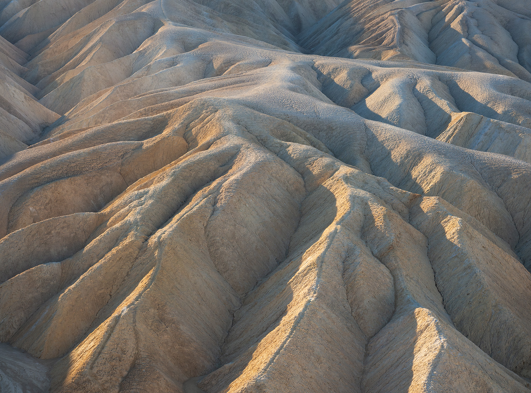 Zabriskie